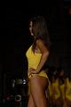Miss Italia Avola 2009 (440)